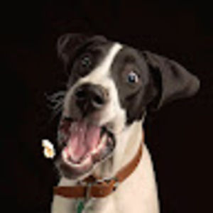 Meet your Posher, Cassie